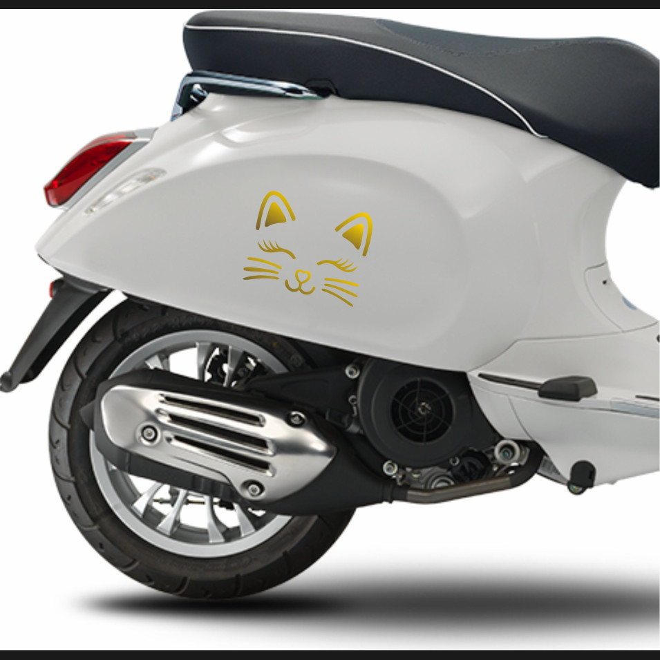 KIT 1 Adesivo Serbatoio GATTO FUSA SORRISO PIAGGIO VESPA GTS GTV Grafiche compatibili in moltissimi colori anche FLUO Cod.1991