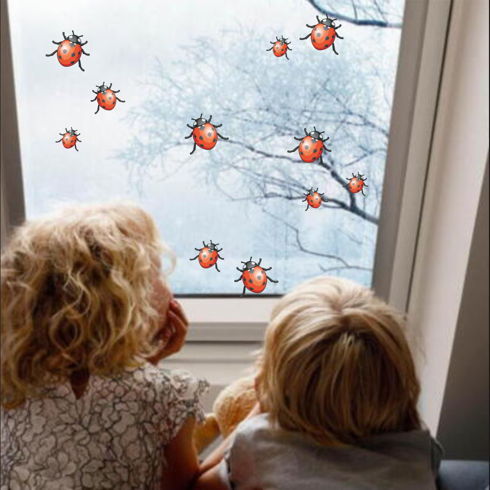 Kit adesivi 24 COCCINELLE universale compatibile con auto moto c.1797