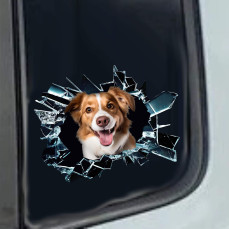 Kit 1 Adesivo in Vinile BORDIER COLLIE RAZZA CANINA SCOZZESE Accessori Decalcomanie Divertenti per Auto Camion Camper cod. 2370