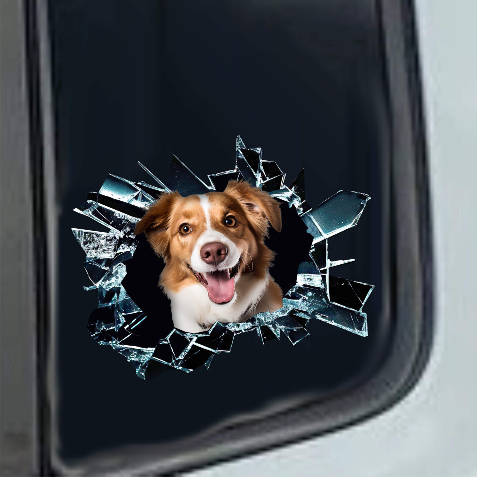 Kit 1 Adesivo in Vinile BORDIER COLLIE RAZZA CANINA SCOZZESE Accessori Decalcomanie Divertenti per Auto Camion Camper cod. 2370