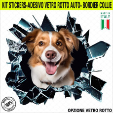 Kit 1 Adesivo in Vinile BORDIER COLLIE RAZZA CANINA SCOZZESE Accessori Decalcomanie Divertenti per Auto Camion Camper cod. 2370