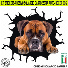 Kit 1 Adesivo in Vinile CANE BOXER DOG TEDESCO Accessori Decalcomanie Divertenti per Auto Camion Camper cod. 2371