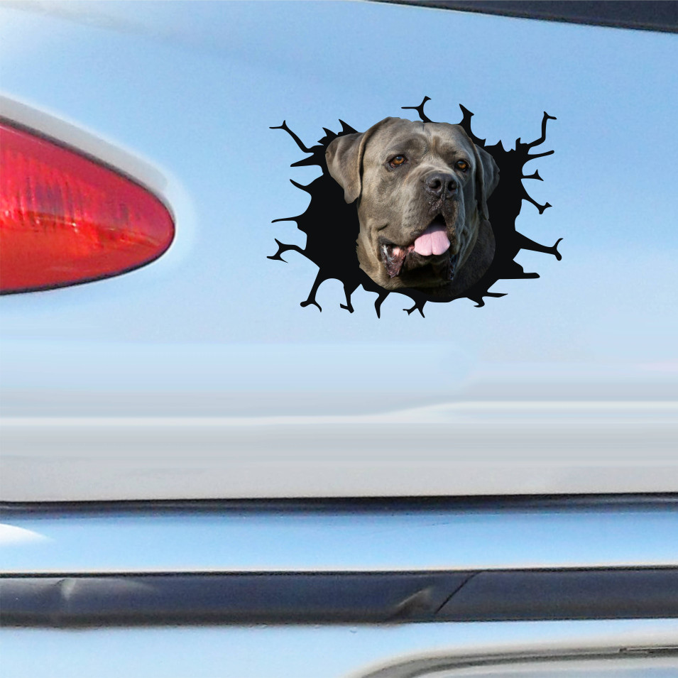 Kit 1 Adesivo in Vinile CANE CORSO RAZZA CANINA Accessori Decalcomanie Divertenti per Auto Camion Camper cod. 2373
