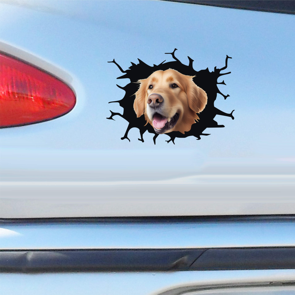 Kit 1 Adesivo in Vinile GOLDEN RETRIEVER Razza Canina Scozzese Accessori Decalcomanie Divertenti per Auto Camion cod. 2379